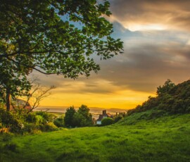 Golden sunset over a grassy countryside Countryside sunset with trees and fields