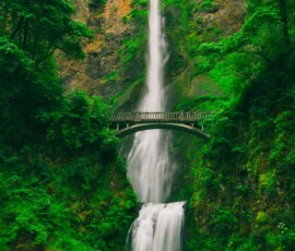 Tall waterfall with bridge above Tall waterfall and bridge in green forest